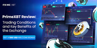 Maximize Your Trading Experience with Trade PrimeXBT
