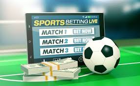 Maximize Your Betting Experience with 1xBet Tips and Insights