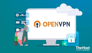 Погружение в мир OpenVPN Защита и анонимность в сети