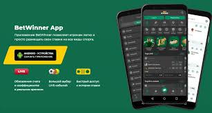 BetWinner APK Your Ultimate Betting Companion 493051707
