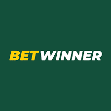 Explore BetWinner Casino Platform Your Ultimate Gaming Destination