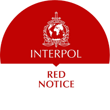Interpol Law Firm Your Ally in Criminal Defense