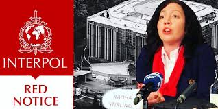 Interpol Law Firm Your Trusted Partner in Criminal Defense 1338134488