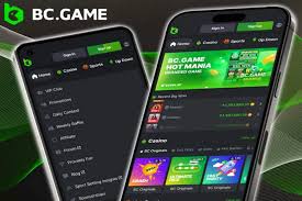 The Ultimate Guide to BC.Game Bonuses and Promo Codes
