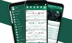 Responsible Gambling Practices at BetWinner Benin